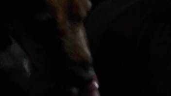 Dick sucking encounter with a hot beast in the shadows
