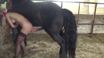 A dark-haired woman in stockings is ready to bang a well-hung stud