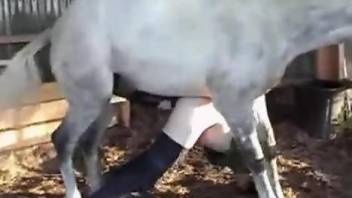 Slutty zoophile taking a huge horse cock from behind