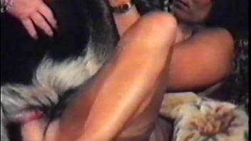 Vintage bestiality video with close-up BJ and sex