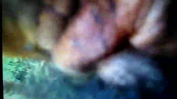 Intense macro view of beastly anal intercourse scene