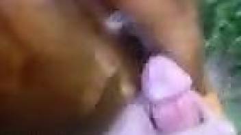 Dude fucking his dog and cumming buckets in POV