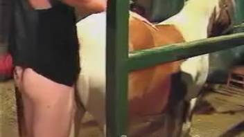 Man in a vest pounding a cow's steamy vagina on camera