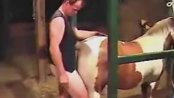 Dude in a sexy vest happily fucking a mare's pussy