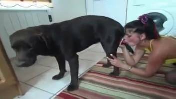 Dark-haired vixen with provocative cosmetics reveres a canine's phallus with her mouth