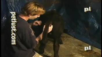 Collection of men's zoophilia acts with barnyard animals