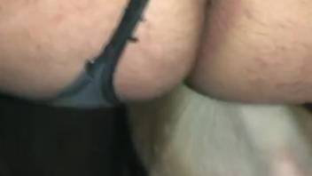Voluptuous-bottomed femboy is pounded by his well-hung queer canine