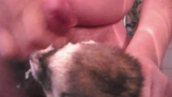 Sexy ferret is fit for a very massive facial