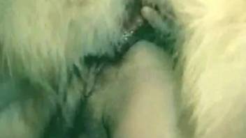 Obedient whore with hairy pubes gets banged doggy style