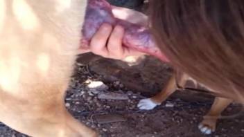 Horny woman sure wants the dog's big dick into her mouth