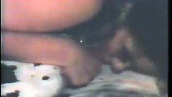 Vintage bestiality film featuring various women who orgasm
