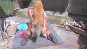 Thick-assed hottie gets fucked by a lustful pup