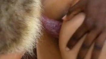Close-up penetration with several Latina sluts