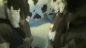 Mature mom's intense doggystyle banging in the kitchen