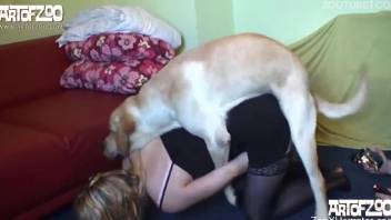 Black stockings blonde gets fucked by a horny black dog