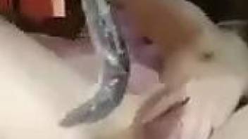snake