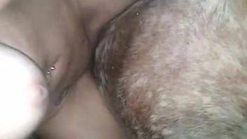 Tattooed dark-haired woman with a firm butt relishes mounting a canine penis