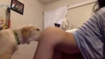 Perky-assed hottie gets licked by a dog prior to an orgasm