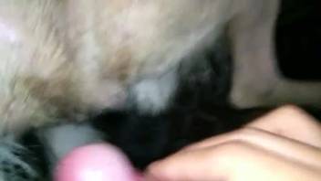 Guy thrusting into a creature's cute tiny opening
