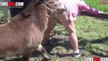 Fat MILF getting dominated by a kinky animal