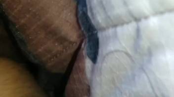 Guy relishes protected intercourse with an incredibly hot wildcat