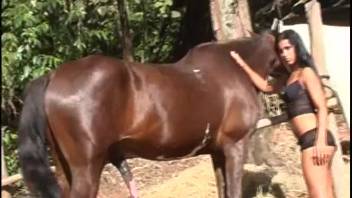 Brunette woman desires a stallion to screw her roughly