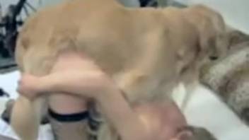 Stunning woman in fishnets aggressively taken by a mongrel dog