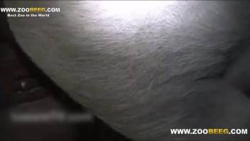 Athletic guy in jockstrap having his ass slammed viciously