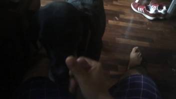 Aroused dude masturbating wildly before the creature