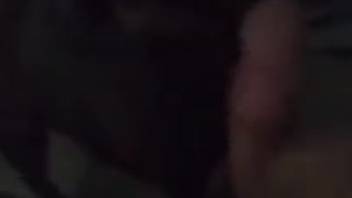 Hot bitch blowing a guy's hard-on in a first-person view clip