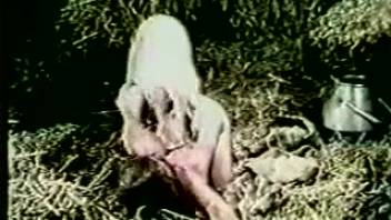 Collection of the wildest vintage animal encounters