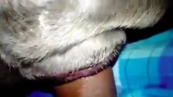 Tight cavity getting stretched to the max by a big dick