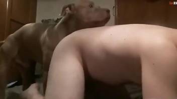 Lovely zoophile getting fucked deeply by a raging doggo