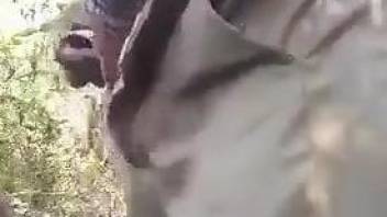 Dude shows his fucking skills with a really horny dog