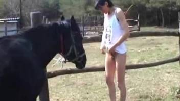 Sun-kissed dark-haired woman with fringe giving oral to a stallion's penis