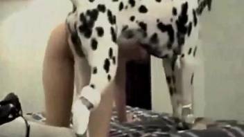 Brunette with a shapely ass fucks a Dalmatian