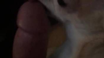Dude's throbbing cock gets licked by a sexy dog