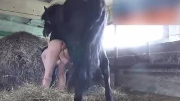 Voluptuous lady stuffs massive horse-sized cock into her splendid vagina