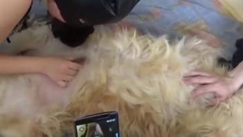 Disguised bestiality-loving whore gets pounded by a canine