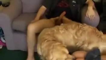 Trio sex clip featuring a curvy-ass novice girl