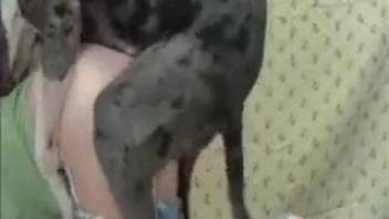Sexy babe in torn jeans loving some doggy action here