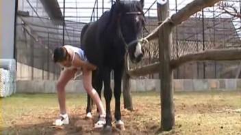 Ebony stallion is screwed by a brunette with cropped hair