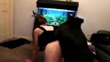 Dominant dog drilling an amateur's hot cunt on all fours