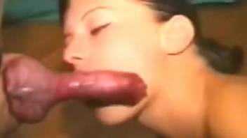 Hot women sucking fat cocks and orgasming as well