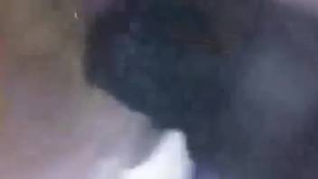 Masked girl unable to conceal her arousal during bestiality encounter