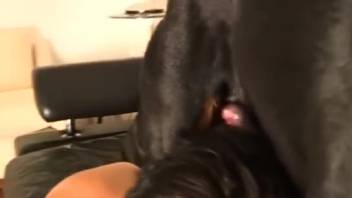 Torn pants babe screwed by a sleazy mutt