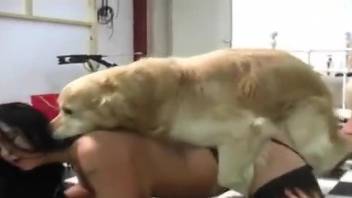Hot women enjoying passionate fucking with a dog