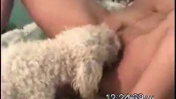 Hot creature observes her self-pleasuring and climaxing as well