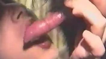 Amateur whore gives dog a short blowjob on cam
