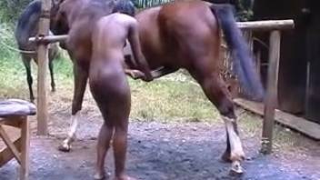 Black vagina expanded by enormous horse-like dick